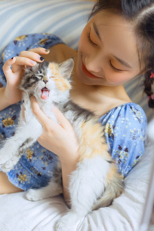 楚乔传多少集